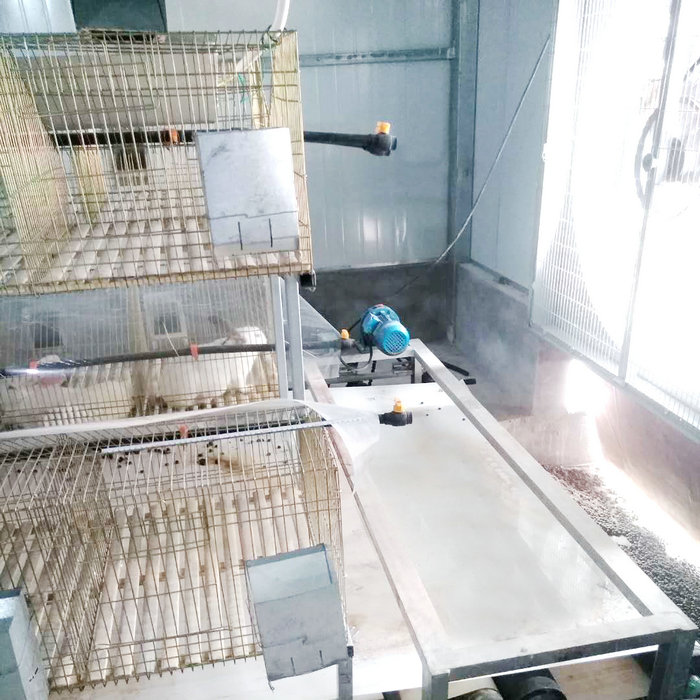 兔用自動清糞機 (7).jpg