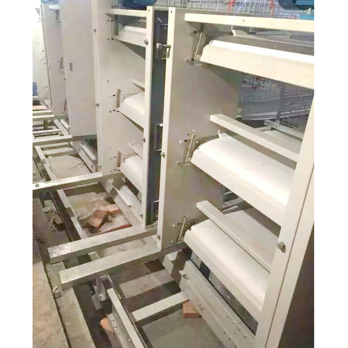 肉雞全自動(dòng)清糞機(jī) (8).jpg