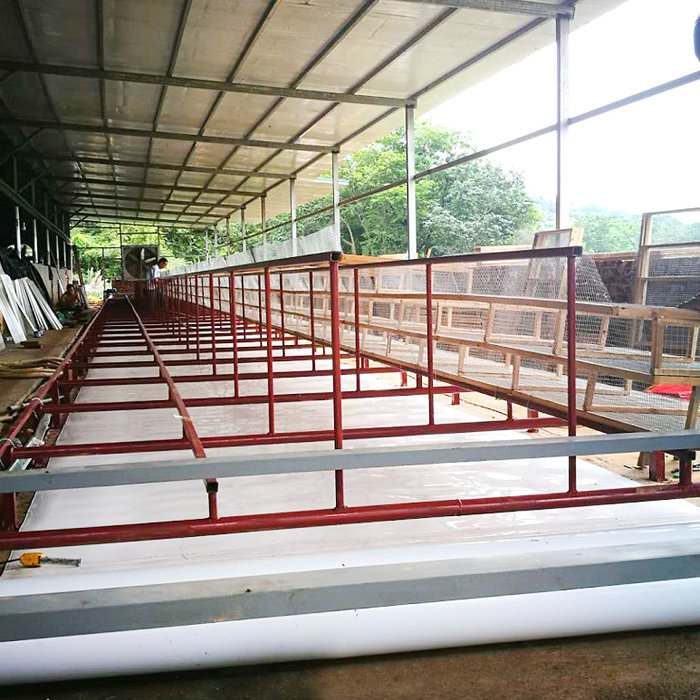 鵪鶉清糞機(jī) (1).jpg