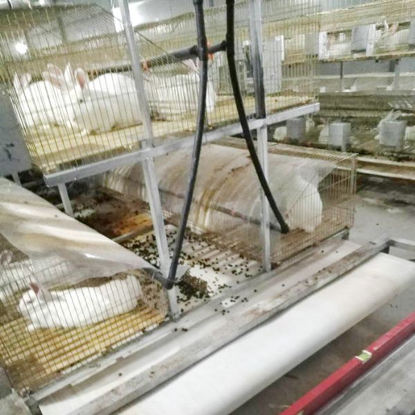 兔用自動清糞機