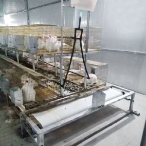 兔用自動清糞機