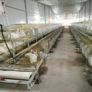 兔用自動清糞機