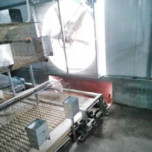 兔用自動清糞機