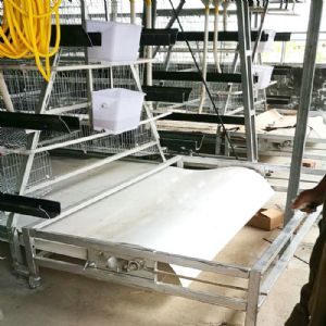 PP帶蛋雞清糞機(jī)